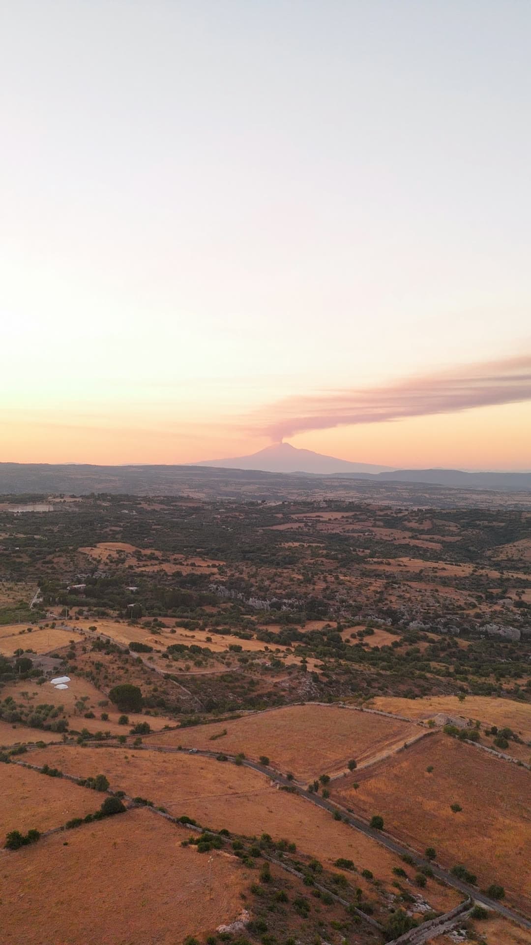 The orchard from above at dusk, Mount Etna's plume on the horizon