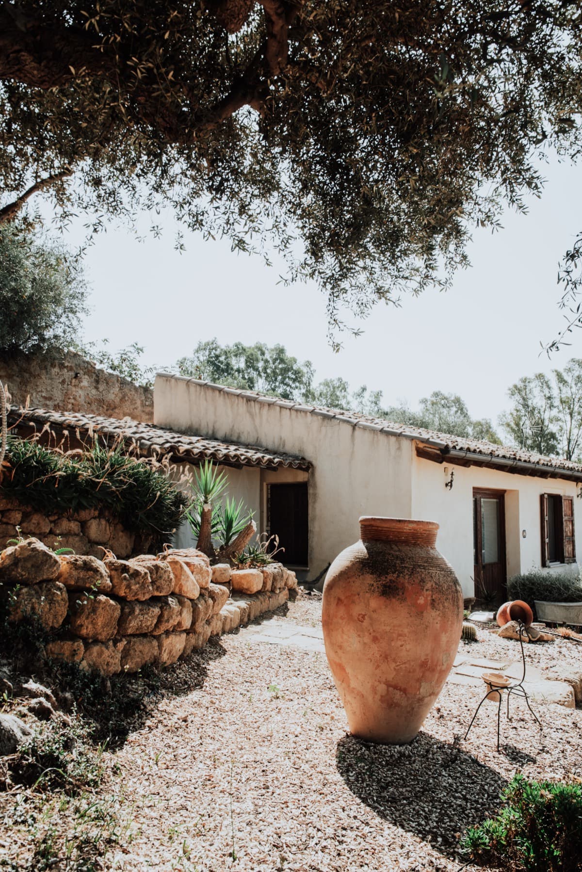 A stone farmhouse and a large terracotta urn under an olive tree, edited with the Terracotta preset